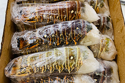 Lobster Tails, Frozen - 10lb Box